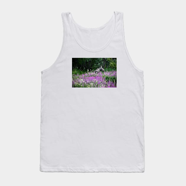 Moose / Swiss Artwork Photography Tank Top by RaphaelWolf